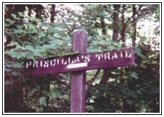 Priscilla's Trail