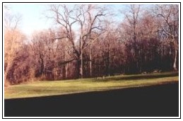 Flag Field from road