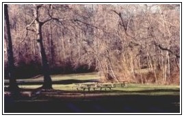 Flag Field from Singing Benches